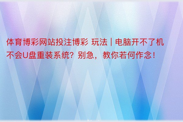 体育博彩网站投注博彩 玩法 | 电脑开不了机不会U盘重装系统？别急，教你若何作念！