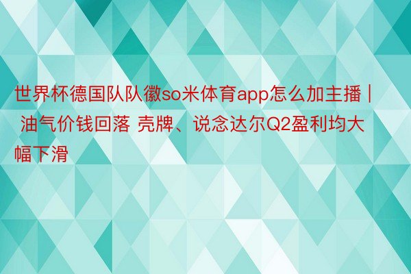 世界杯德国队队徽so米体育app怎么加主播 | 油气价钱回落 壳牌、说念达尔Q2盈利均大幅下滑