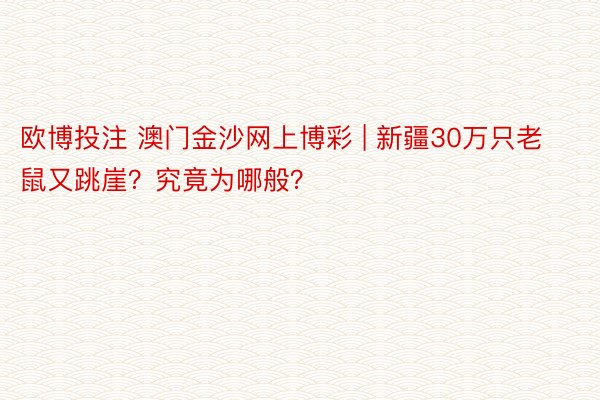 欧博投注 澳门金沙网上博彩 | 新疆30万只老鼠又跳崖？究竟为哪般？