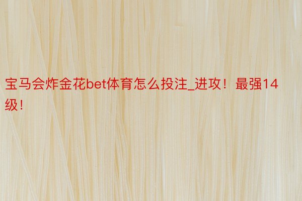 宝马会炸金花bet体育怎么投注_进攻！最强14级！