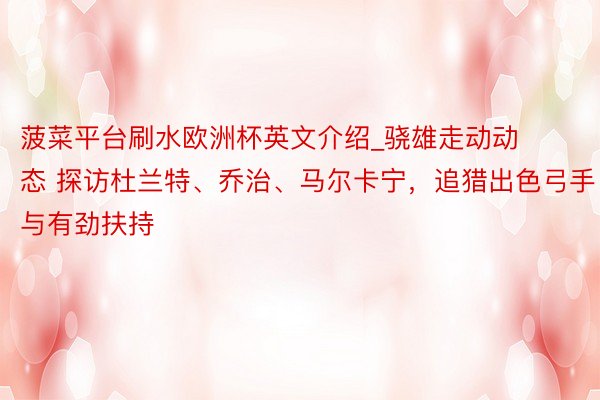 菠菜平台刷水欧洲杯英文介绍_骁雄走动动态 探访杜兰特、乔治、马尔卡宁，追猎出色弓手与有劲扶持