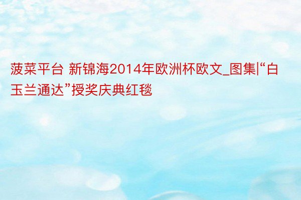 菠菜平台 新锦海2014年欧洲杯欧文_图集|“白玉兰通达”授奖庆典红毯