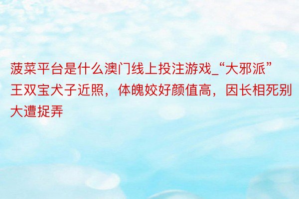 菠菜平台是什么澳门线上投注游戏_“大邪派”王双宝犬子近照，体魄姣好颜值高，因长相死别大遭捉弄